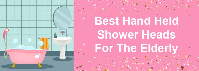 blog title best hand held shower head for seniors